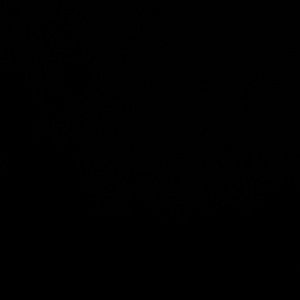 Meet your Posher, Isabel